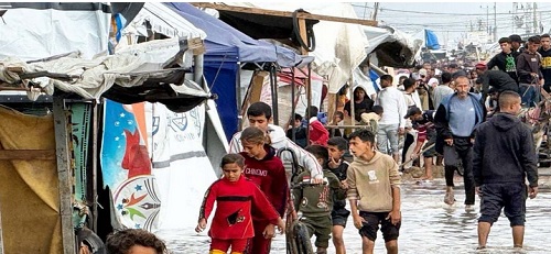 ��������� ���� ����� ����� �� ��� ���� ������ ������