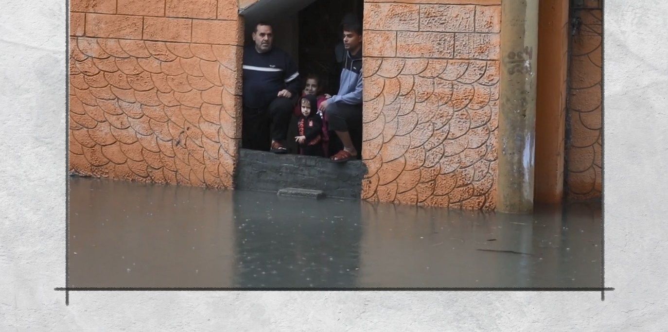 ����� ���� ������ �����