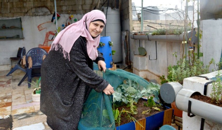 14 ����� �������� ������ �� ����� ��� ������