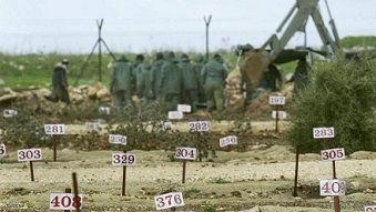 �����: �������� ����� ������ ������ ���� ���� ���������