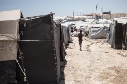 ����� ������ ����� 2025: 40% �� �������� ����� �� ����� ������