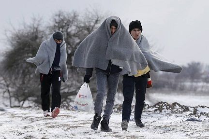 (84) ��������� ���� ���� ����� ��� ����� ��� ������ 2017.