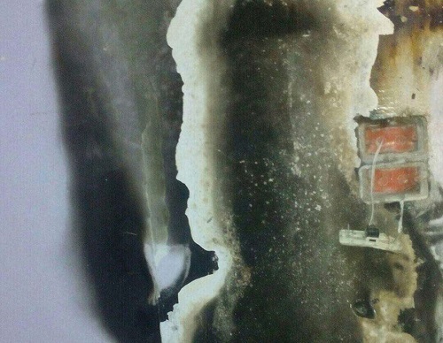 ���� ���� �� ���� ������ ���� ������� �����