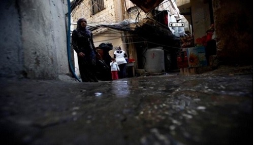 �������� ���������� ���� 