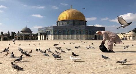 ���� �����.. ���� ���� ������� �� ����� ����� ��� ������ �����