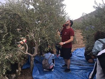 ������ ��������� �� ����� ������ ���� ������� �� ���� ��� �������