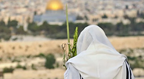 أكثر من 500 مستوطن يقتحمون الأقصى بينهم فيغلين وسط قيود على المصلين